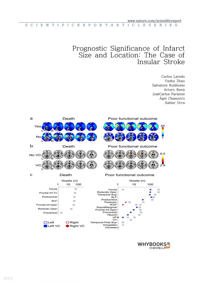 Prognostic Significance of Infarct Size and Location The Case of Insular Stroke