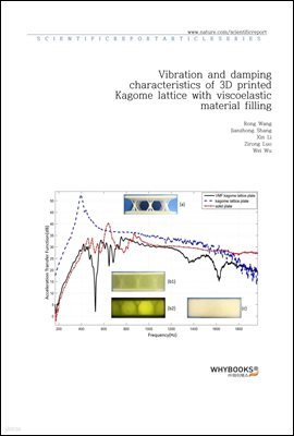 Vibration and damping characteristics of 3D printed Kagome lattice with viscoelastic material filling