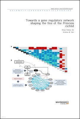 Towards a gene regulatory network shaping the fins of the Princess cichlid