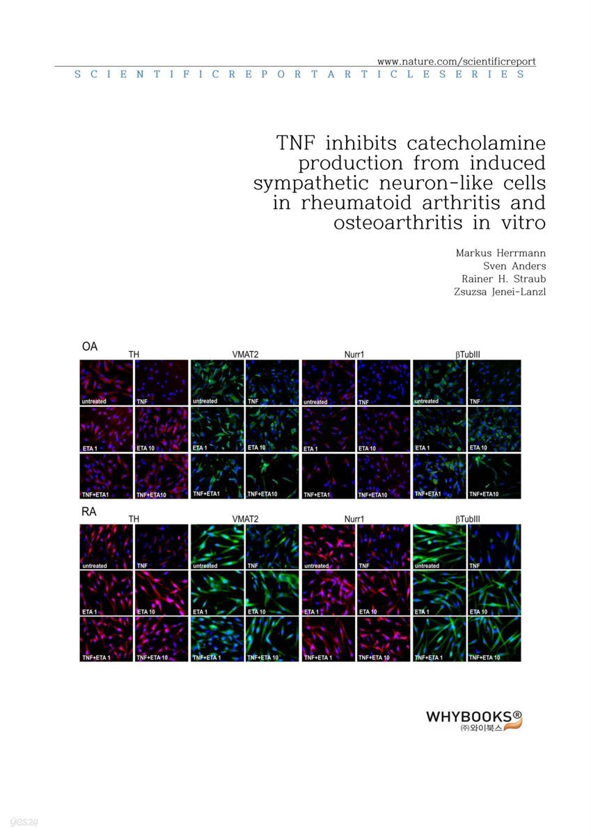 TNF inhibits catecholamine production from induced sympathetic neuron-like cells in rheumatoid arthritis and osteoarthritis in vitro