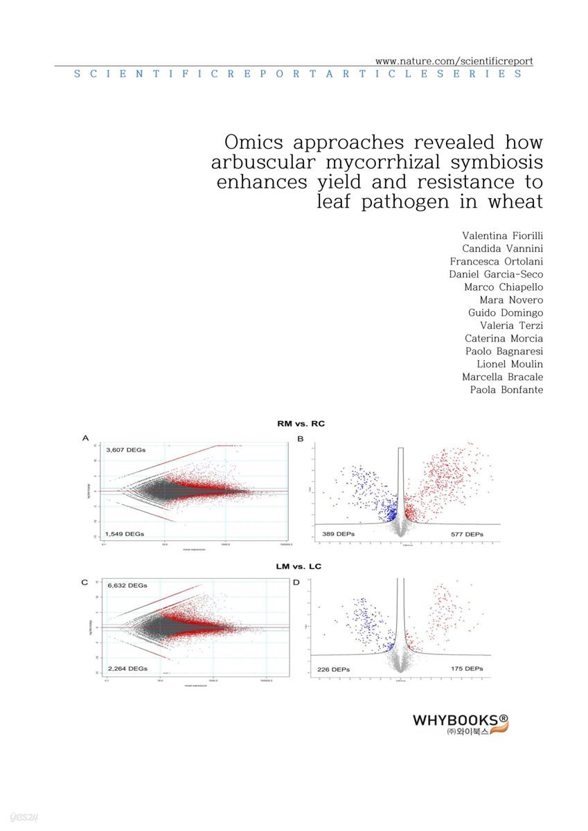 Omics approaches revealed how arbuscular mycorrhizal symbiosis enhances yield and resistance to leaf pathogen in wheat