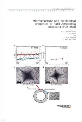 Microstructure and mechanical properties of hard Acrocomia mexicana fruit shell