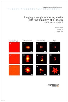 Imaging through scattering media with the auxiliary of a known reference object