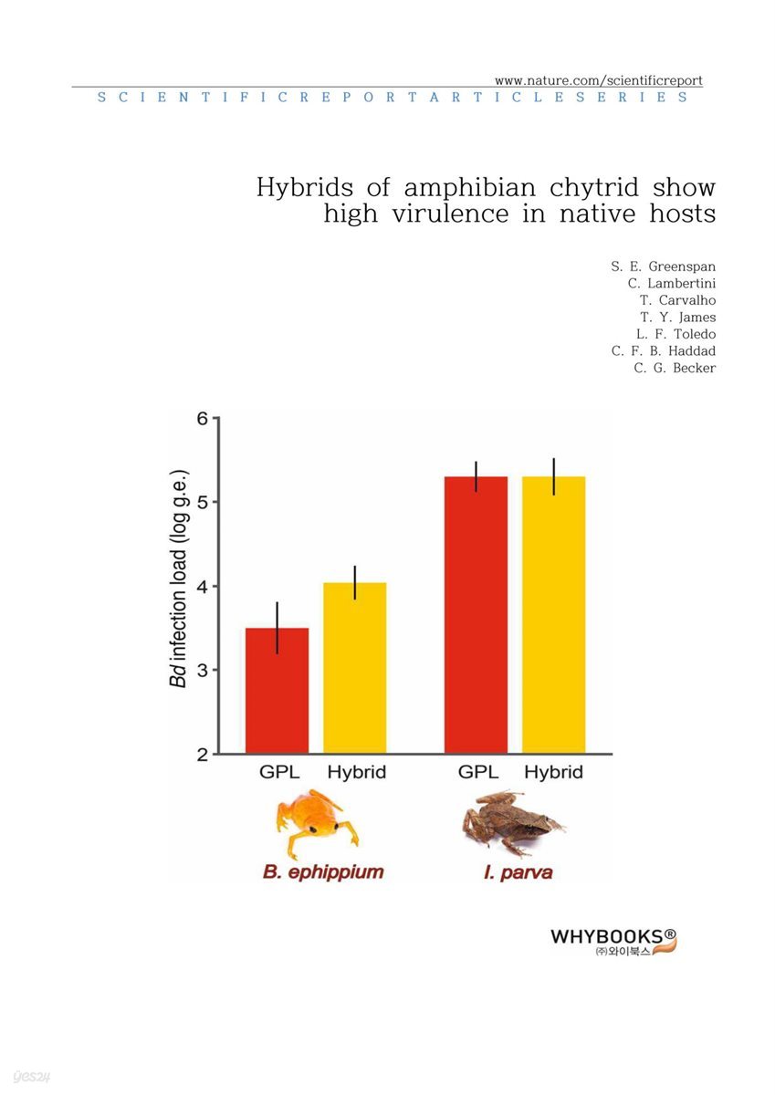 Hybrids of amphibian chytrid show high virulence in native hosts