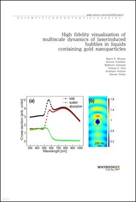 High fidelity visualization of multiscale dynamics of laser-induced bubbles in liquids containing gold nanoparticles