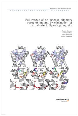 Full rescue of an inactive olfactory receptor mutant by elimination of an allosteric ligand-gating site