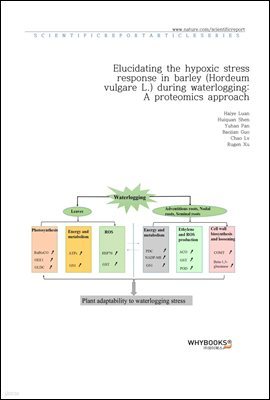 Elucidating the hypoxic stress response in barley (Hordeum vulgare L.) during waterlogging A proteomics approach