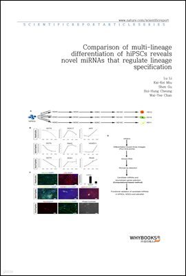 Comparison of multi-lineage differentiation of hiPSCs reveals novel miRNAs that regulate lineage specification