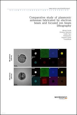 Comparative study of plasmonic antennas fabricated by electron beam and focused ion beam lithography