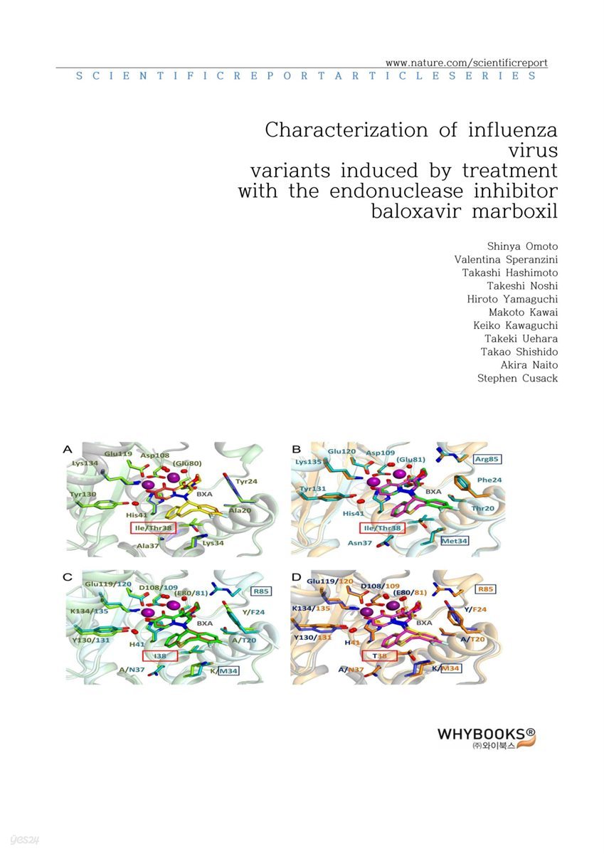 Characterization of influenza virus variants induced by treatment with the endonuclease inhibitor baloxavir marboxil