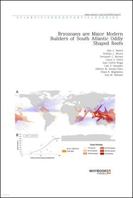 Bryozoans are Major Modern Builders of South Atlantic Oddly Shaped Reefs