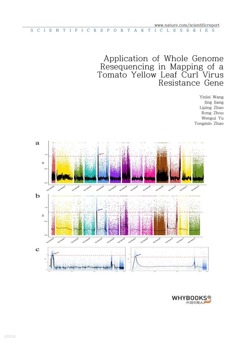 Application of Whole Genome Resequencing in Mapping of a Tomato Yellow Leaf Curl Virus Resistance Gene