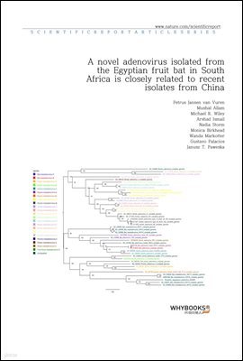 A novel adenovirus isolated from the Egyptian fruit bat in South Africa is closely related to recent isolates from China