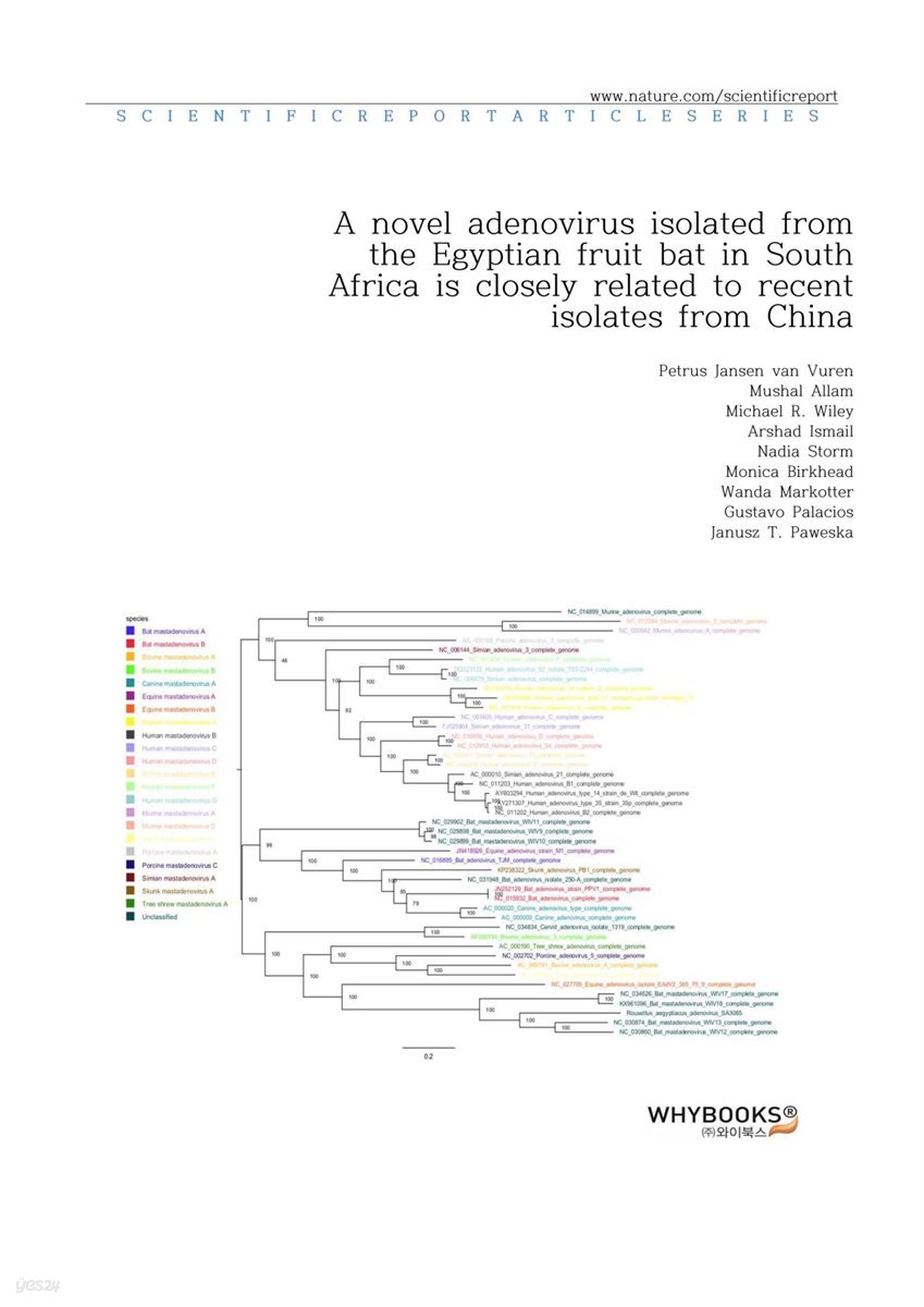 A novel adenovirus isolated from the Egyptian fruit bat in South Africa is closely related to recent isolates from China