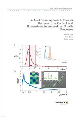 A Markovian Approach towards Bacterial Size Control and Homeostasis in Anomalous Growth Processes