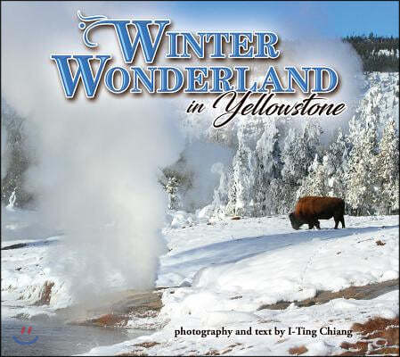 Winter Wonderland in Yellowstone