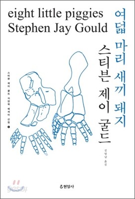 여덟 마리 새끼 돼지