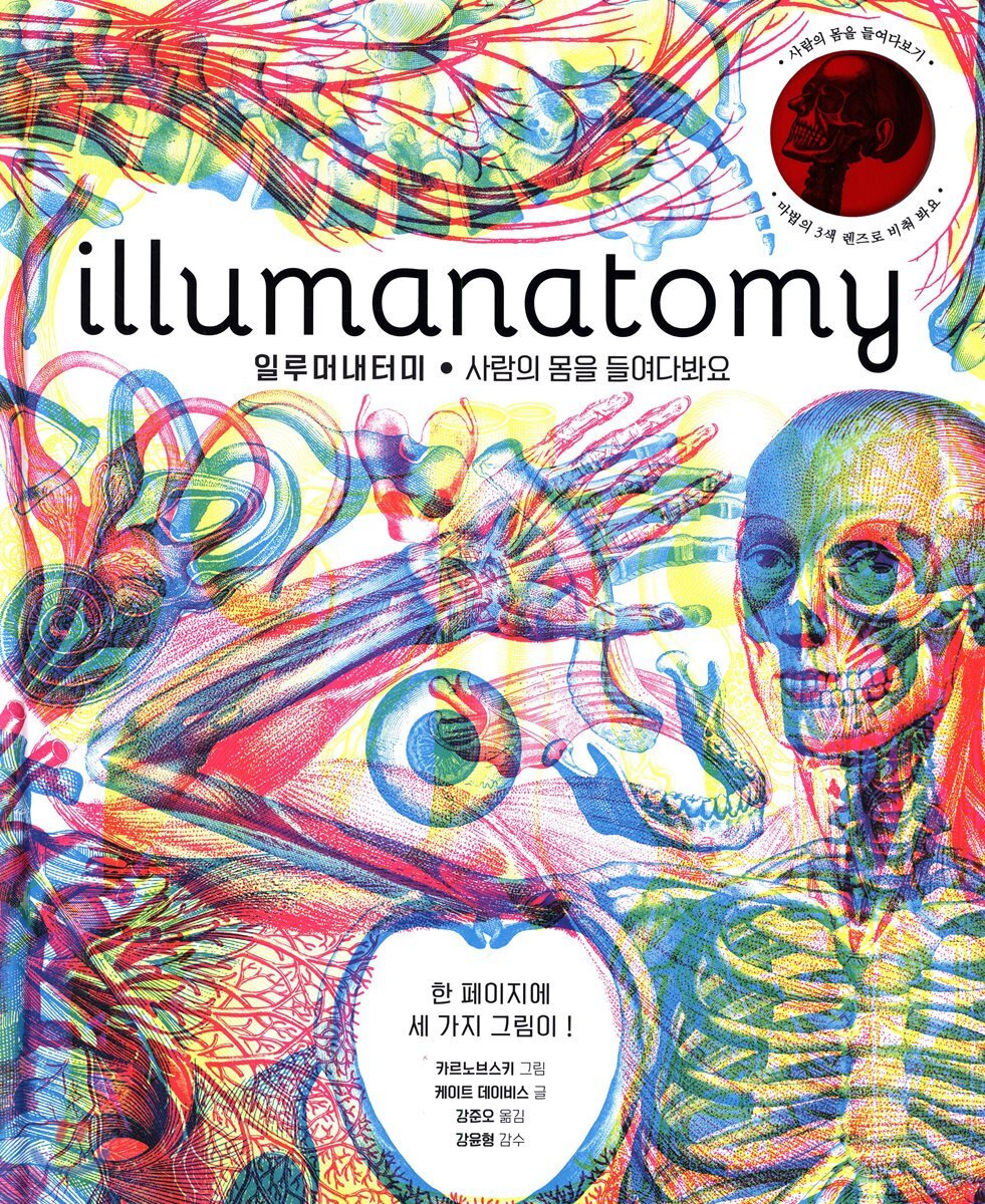 illumanatomy 일루머내터미