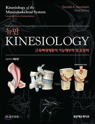 뉴만 kinesiology 근육뼈대계통의 기능해부학 및 운동학