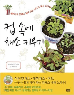 컵 속에 채소 키우기