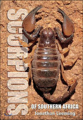 Scorpions of South Africa