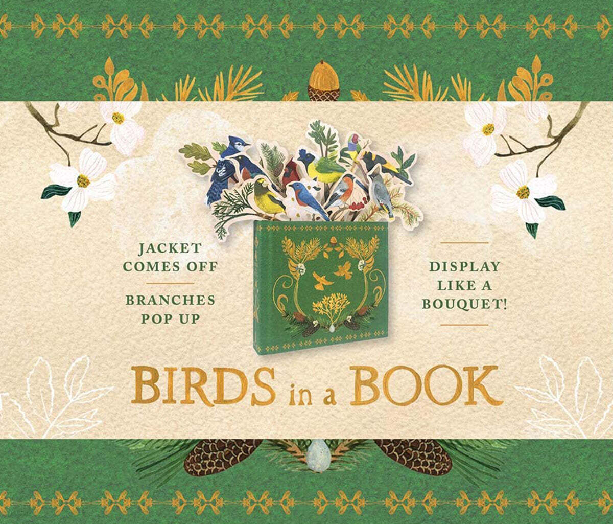 Birds in a Book (Uplifting Editions): Jacket Comes Off. Branches Pop Up. Display Like a Bouquet!