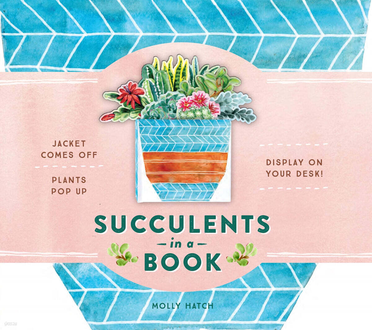 Succulents in a Book (부케북 / 팝업북)