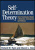 Self-Determination Theory: Basic Psychological Needs in Motivation, Development, and Wellness