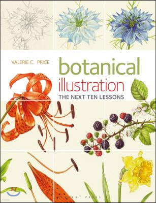 Botanical Illustration: The Next Ten Lessons: Colour and Composition