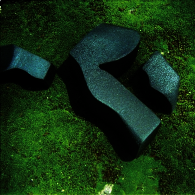 Camila Fuchs — Heart Pressed Between Stones 앨범 커버