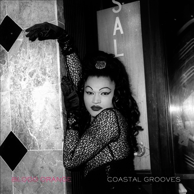 Blood Orange — Coastal Grooves (MP3 Download) 앨범 커버