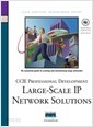 CCIE Professional Development : Large-Scale IP