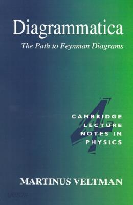Diagrammatica: The Path to Feynman Diagrams