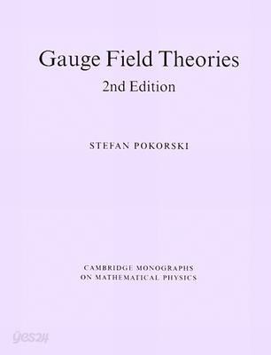 Gauge Field Theories