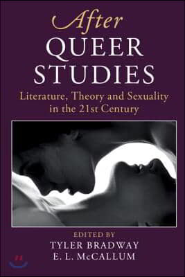 After Queer Studies: Literature, Theory and Sexuality in the 21st Century