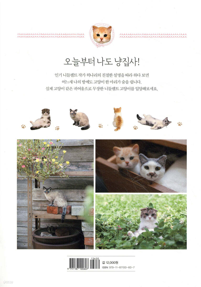 고양이 니들펠트 | 히나리 | 황금시간 - 예스24