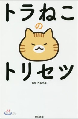 トラねこのトリセツ