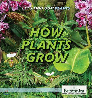 How Plants Grow