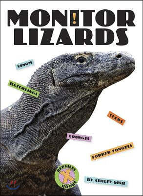 Monitor Lizards