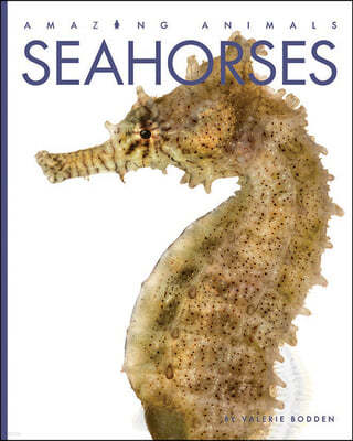 Seahorses