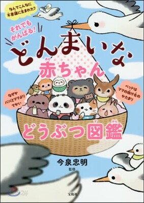 それでもがんばる!どんまいな赤ちゃんどうぶつ圖鑑