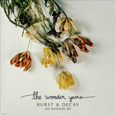 Wonder Years — Burst & Decay 앨범 커버