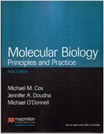 Molecular Biology - Principles And Practice (Paperback) 