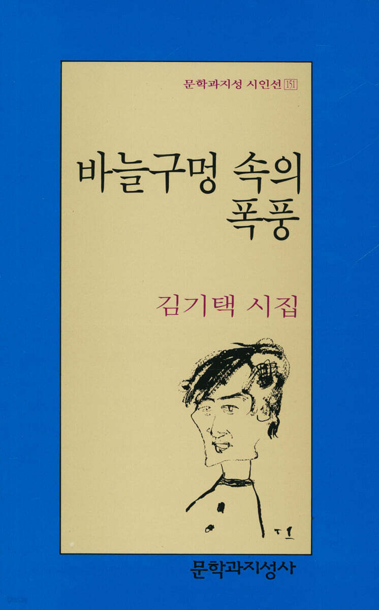 바늘구멍 속의 폭풍