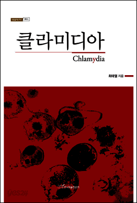 클라미디아