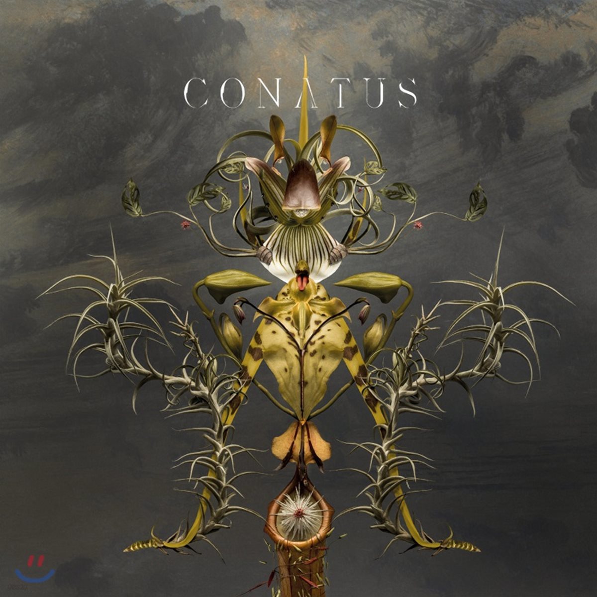 Joep Beving 윱 베빙: 코나투스 (Conatus) [2LP]