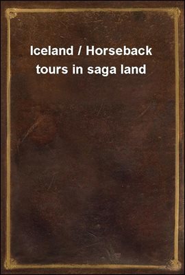 Iceland / Horseback tours in saga land