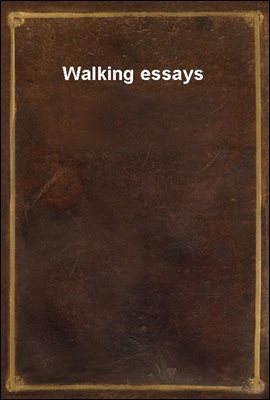 Walking essays