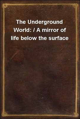 The Underground World: / A mirror of life below the surface