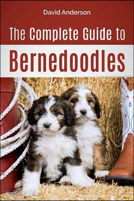 The Complete Guide to Bernedoodles: Everything you need to know to successfully raise your Bernedoodle puppy!